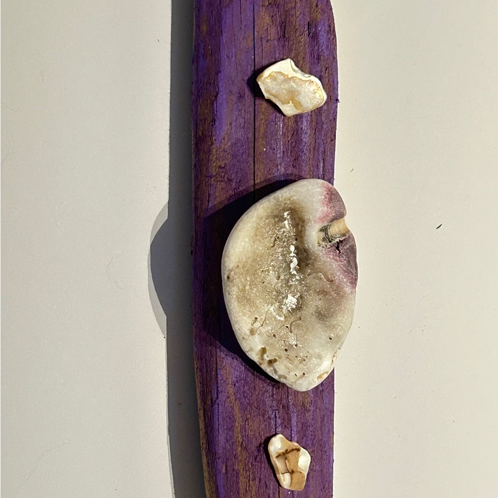 Purple Driftwood Art with Shells